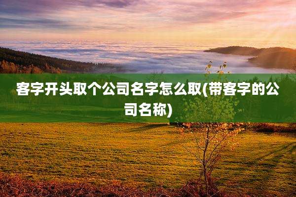 客字开头取个公司名字怎么取(带客字的公司名称)