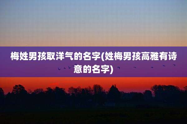 梅姓男孩取洋气的名字(姓梅男孩高雅有诗意的名字)