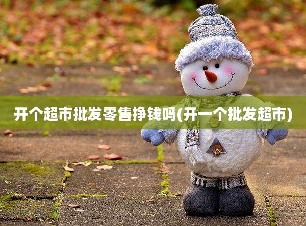 开个超市批发零售挣钱吗(开一个批发超市)