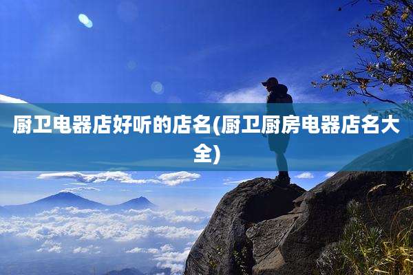 厨卫电器店好听的店名(厨卫厨房电器店名大全)
