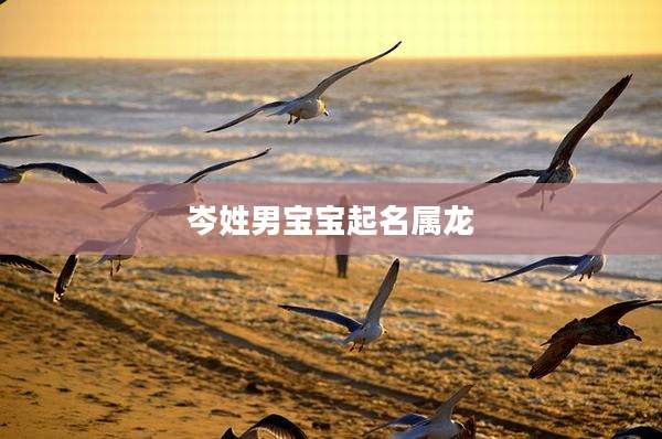 岑姓男宝宝起名属龙