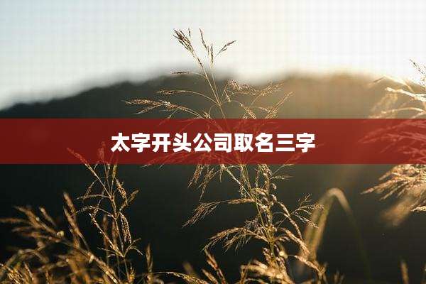 太字开头公司取名三字