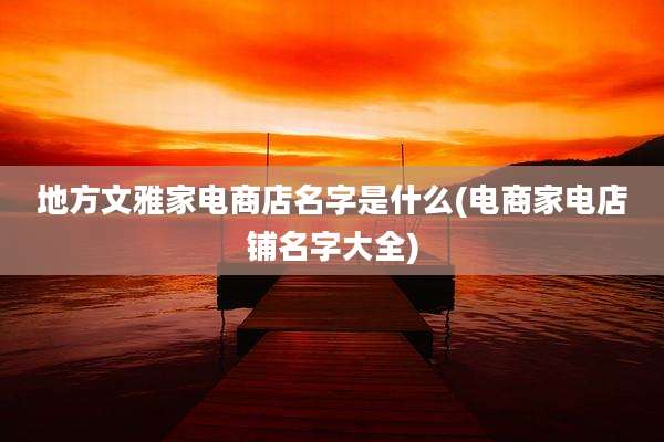 地方文雅家电商店名字是什么(电商家电店铺名字大全)