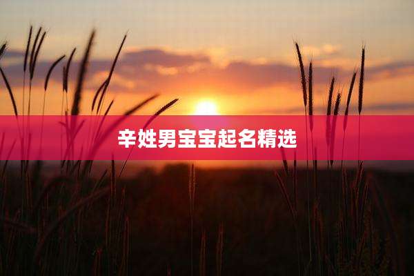 辛姓男宝宝起名精选