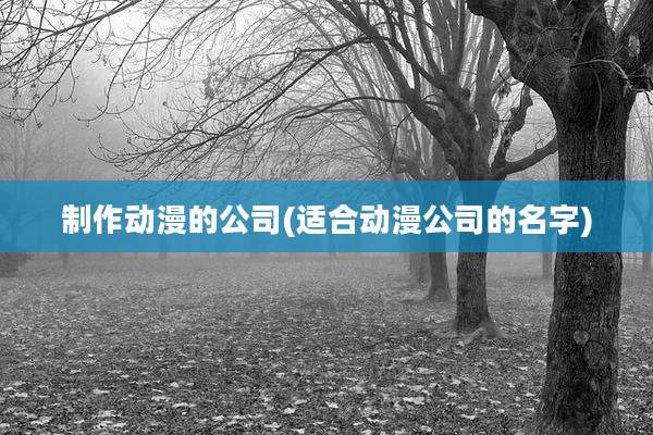 制作动漫的公司(适合动漫公司的名字)