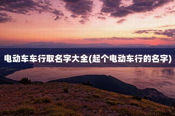 电动车车行取名字大全(起个电动车行的名字)