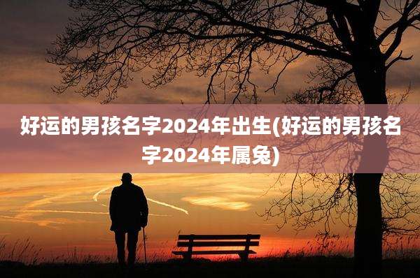 好运的男孩名字2024年出生(好运的男孩名字2024年属兔)