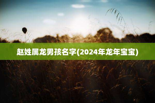 赵姓属龙男孩名字(2024年龙年宝宝)