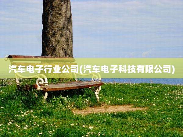 汽车电子行业公司(汽车电子科技有限公司)