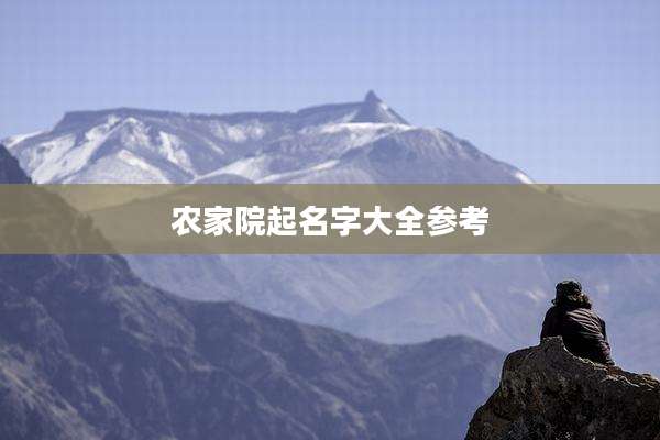 农家院起名字大全参考