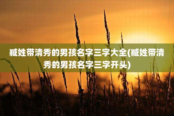 臧姓带清秀的男孩名字三字大全(臧姓带清秀的男孩名字三字开头)