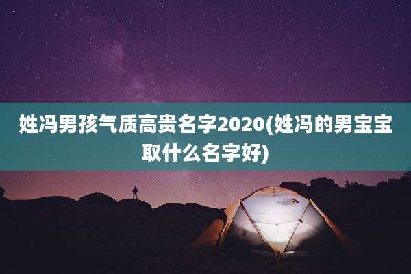 姓冯男孩气质高贵名字2020(姓冯的男宝宝取什么名字好)