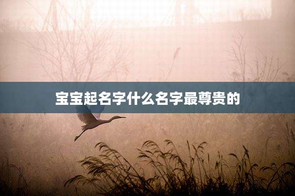 宝宝起名字什么名字最尊贵的