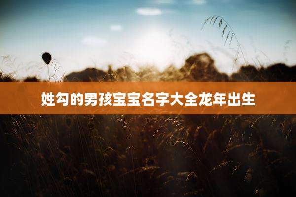 姓勾的男孩宝宝名字大全龙年出生