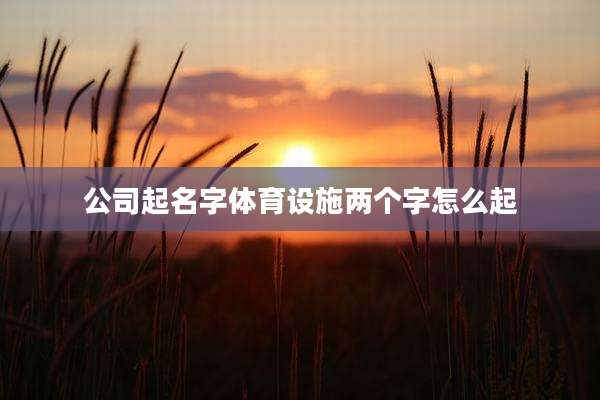 公司起名字体育设施两个字怎么起