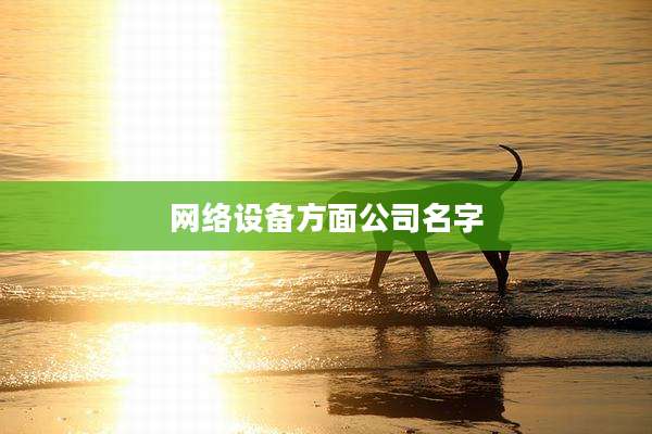 网络设备方面公司名字