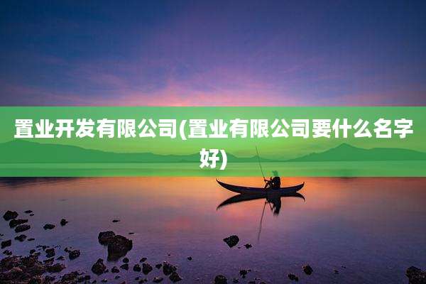 置业开发有限公司(置业有限公司要什么名字好)