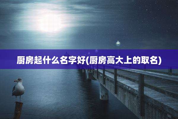 厨房起什么名字好(厨房高大上的取名)