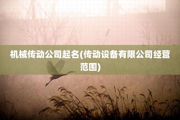 机械传动公司起名(传动设备有限公司经营范围)