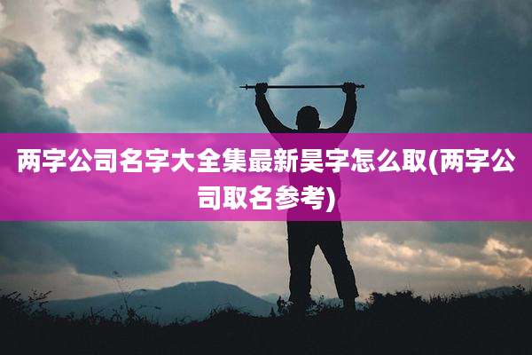 两字公司名字大全集最新昊字怎么取(两字公司取名参考)