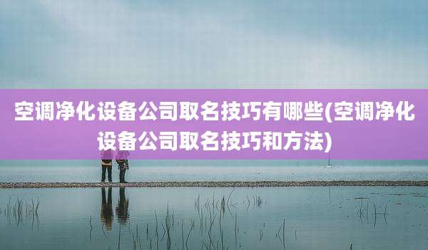 空调净化设备公司取名技巧有哪些(空调净化设备公司取名技巧和方法)