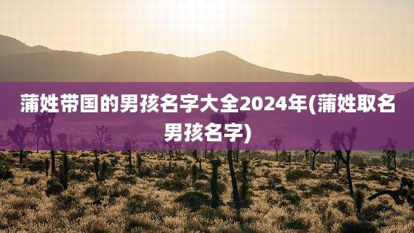 蒲姓带国的男孩名字大全2024年(蒲姓取名男孩名字)