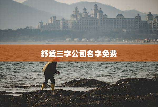 舒适三字公司名字免费