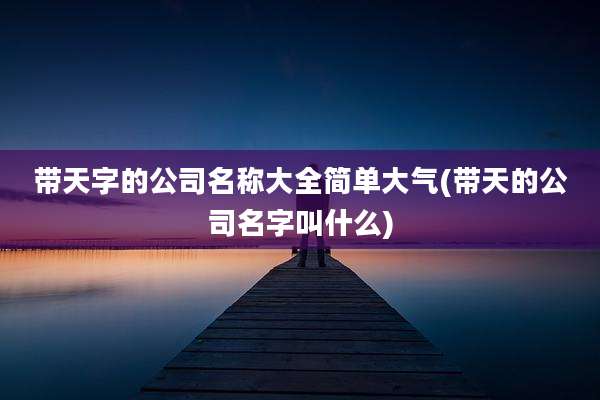 带天字的公司名称大全简单大气(带天的公司名字叫什么)