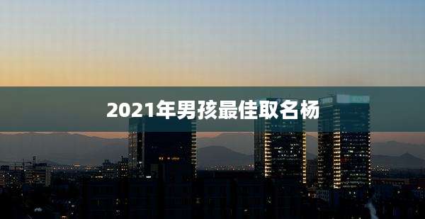 2021年男孩最佳取名杨
