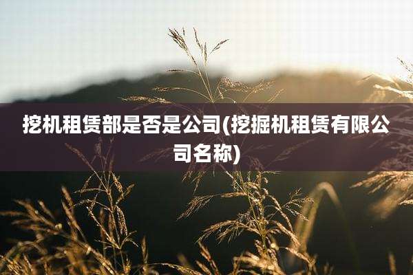 挖机租赁部是否是公司(挖掘机租赁有限公司名称)