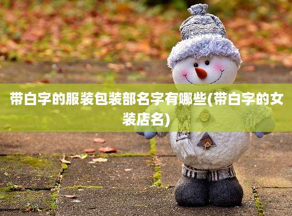 带白字的服装包装部名字有哪些(带白字的女装店名)
