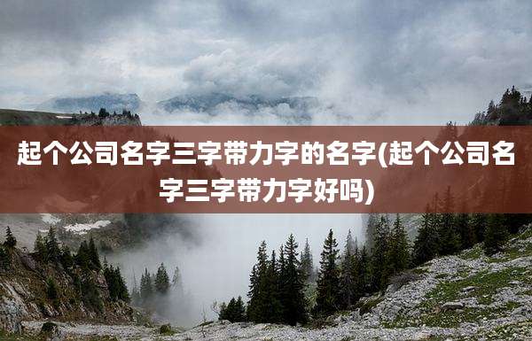 起个公司名字三字带力字的名字(起个公司名字三字带力字好吗)
