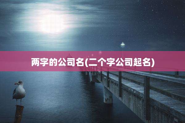 两字的公司名(二个字公司起名)