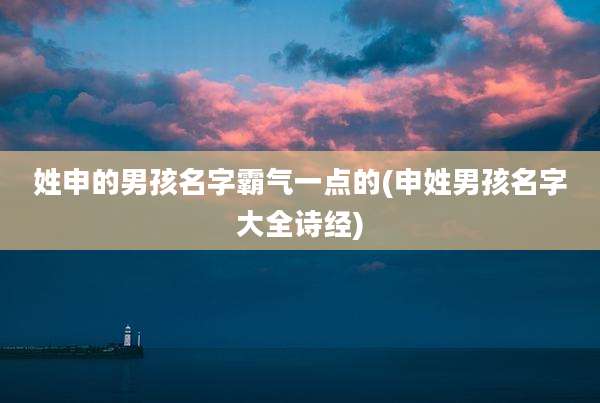 姓申的男孩名字霸气一点的(申姓男孩名字大全诗经)