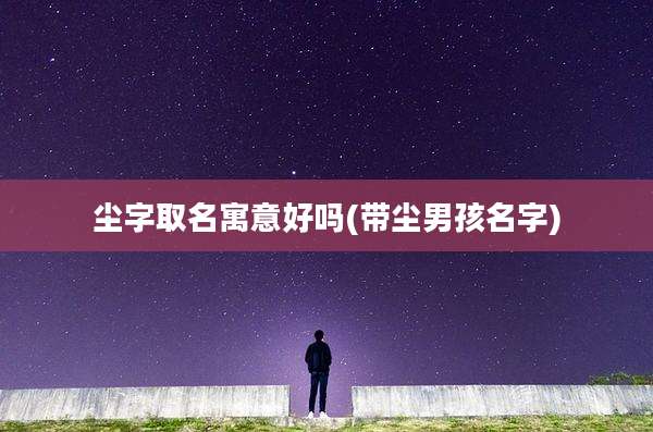 尘字取名寓意好吗(带尘男孩名字)