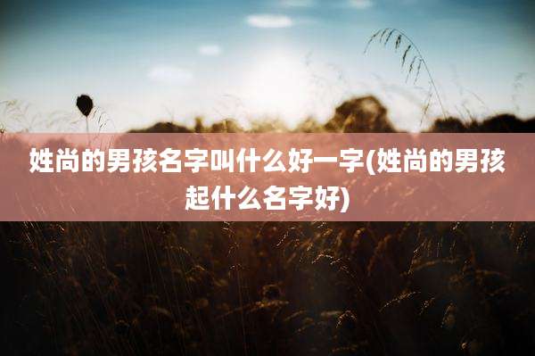 姓尚的男孩名字叫什么好一字(姓尚的男孩起什么名字好)