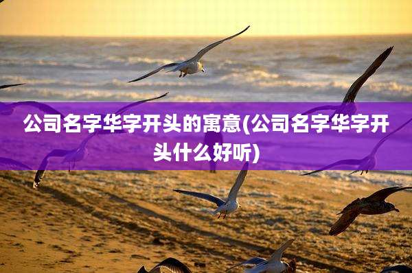 公司名字华字开头的寓意(公司名字华字开头什么好听)