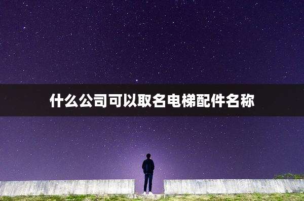 什么公司可以取名电梯配件名称