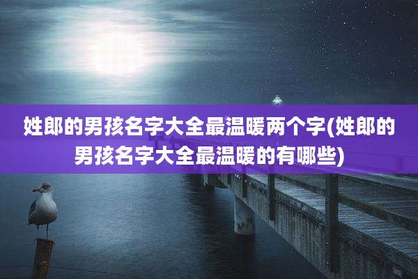 姓郎的男孩名字大全最温暖两个字(姓郎的男孩名字大全最温暖的有哪些)