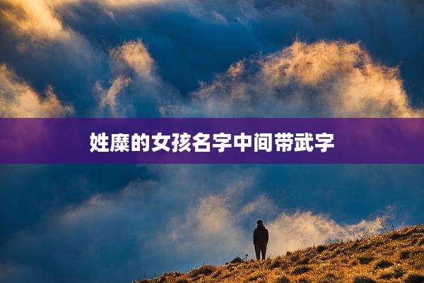 姓糜的女孩名字中间带武字