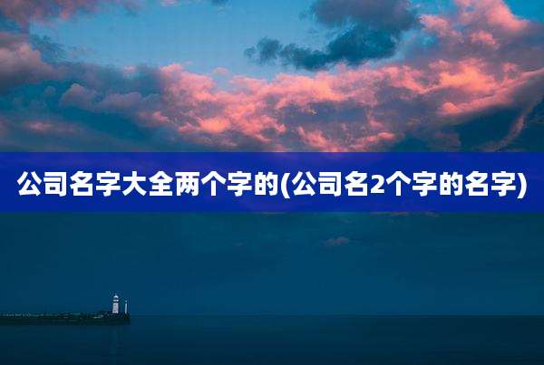 公司名字大全两个字的(公司名2个字的名字)