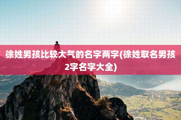 徐姓男孩比较大气的名字两字(徐姓取名男孩2字名字大全)