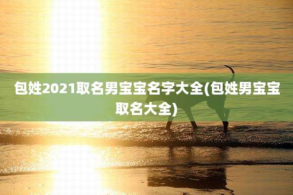 包姓2021取名男宝宝名字大全(包姓男宝宝取名大全)