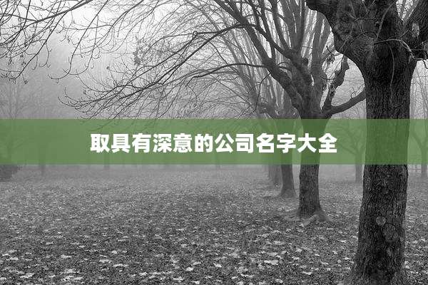 取具有深意的公司名字大全