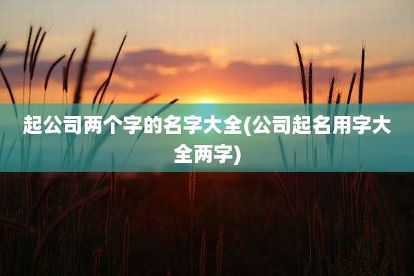 起公司两个字的名字大全(公司起名用字大全两字)
