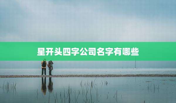 星开头四字公司名字有哪些