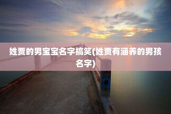姓贾的男宝宝名字搞笑(姓贾有涵养的男孩名字)
