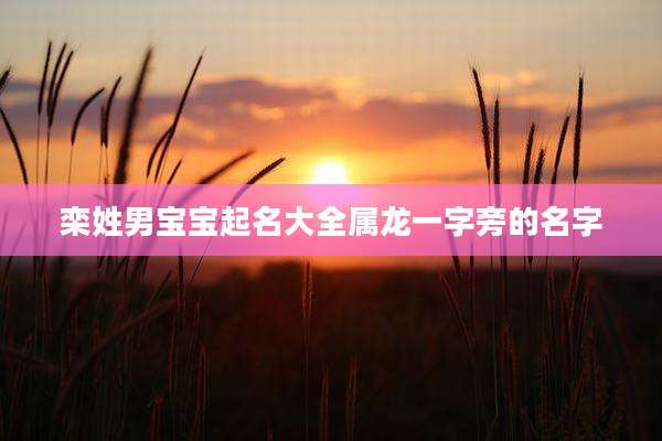 栾姓男宝宝起名大全属龙一字旁的名字