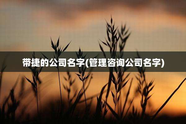 带捷的公司名字(管理咨询公司名字)