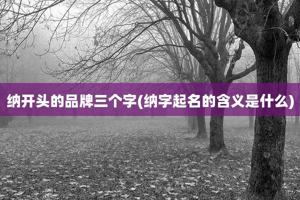 纳开头的品牌三个字(纳字起名的含义是什么)